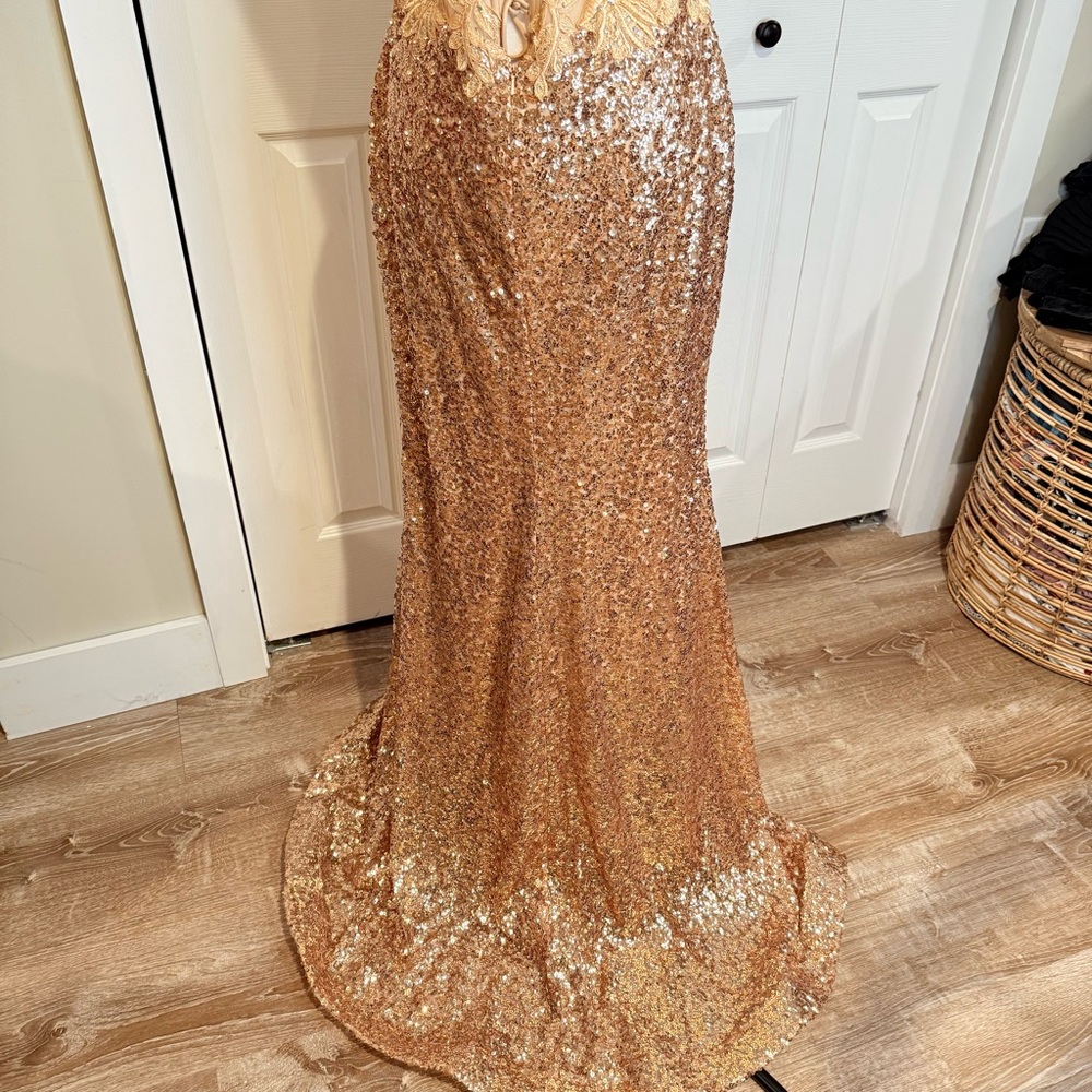 Colette by Daphne, Gold Lace and Sequence with Shear Bodice/ High Slit, Size  10 - Picture 12 of 17